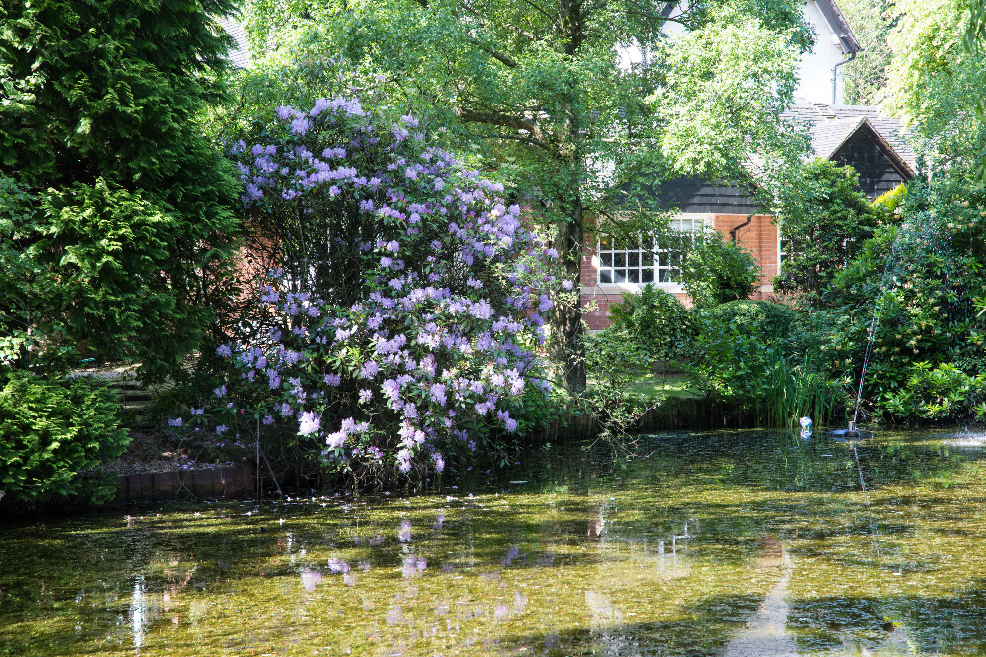 Mere Court Hotel wedding photography. Knutsford wedding photographer cheshire